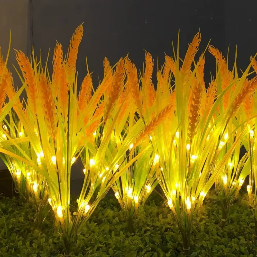 Set 2 x Lampi Solare Decorative pentru Gradina Model Spice de Grau – LED cu Senzor de Lumina, Iluminare Ambientala, Rezistente IP66 pentru Exterior